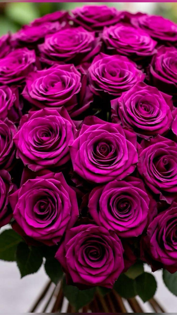 EvenStreamCurrent workshop space where corporate flower arrangements are designed and prepared for business delivery