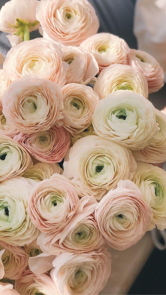 Corporate floral consultation example